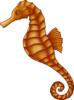 Seahorse