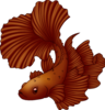 Beta fish