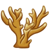 Staghorn Coral